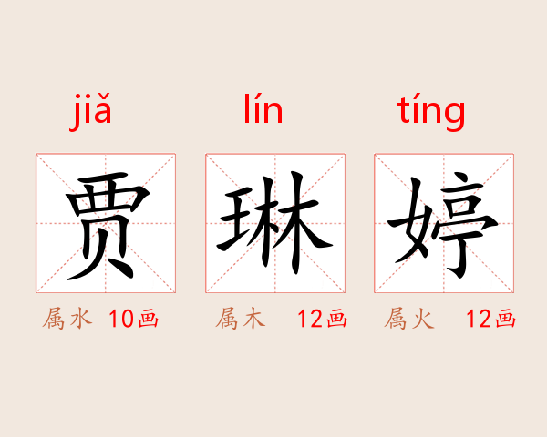 贾琳婷