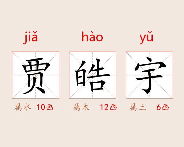 贾皓宇