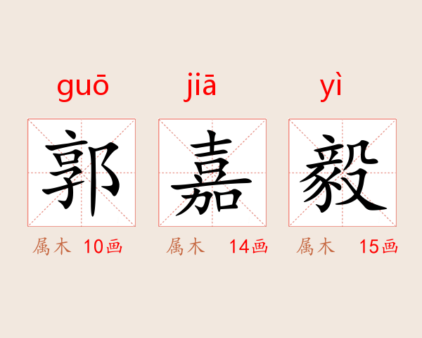 郭嘉毅