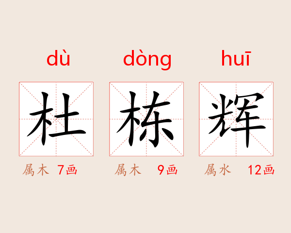 杜栋辉
