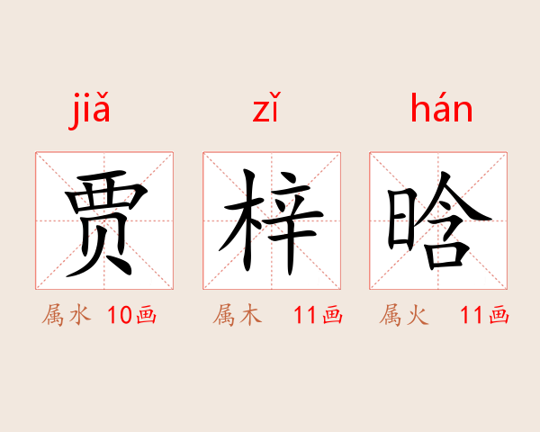 贾梓晗