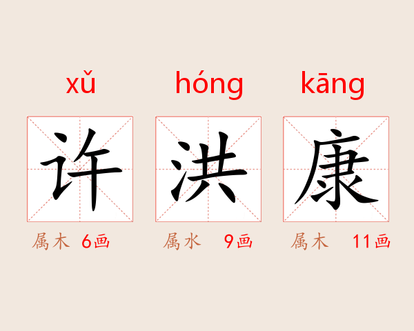 许洪康