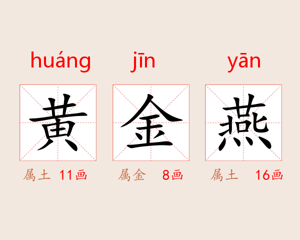黄金燕