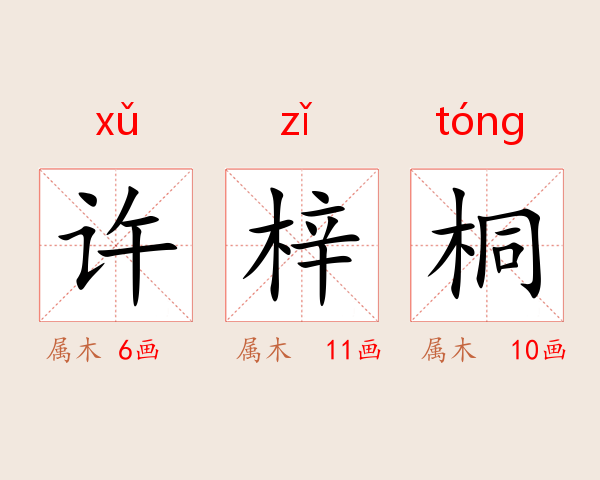 许梓桐