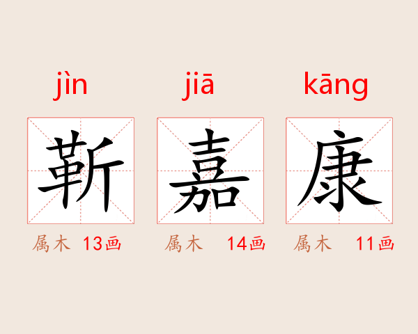 靳嘉康
