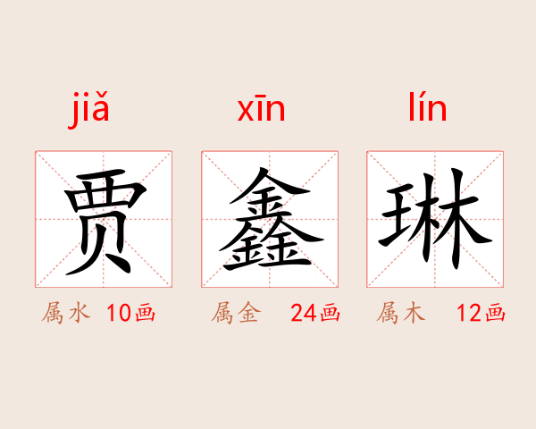 贾鑫琳