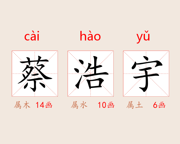 蔡浩宇