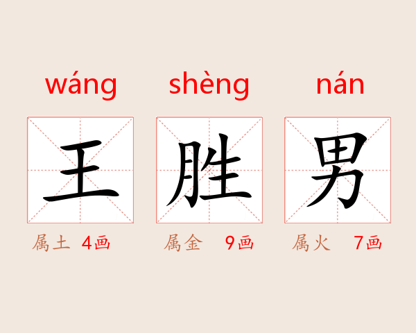 王胜男
