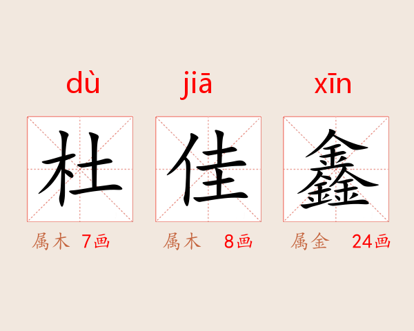杜佳鑫