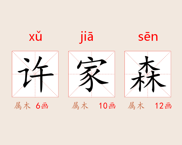 许家森