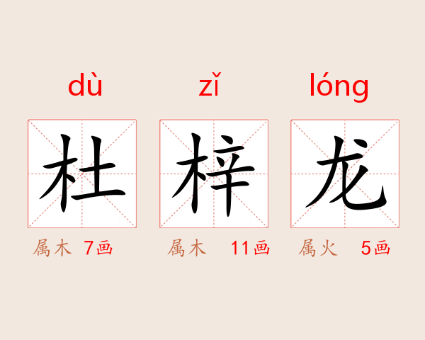 杜梓龙