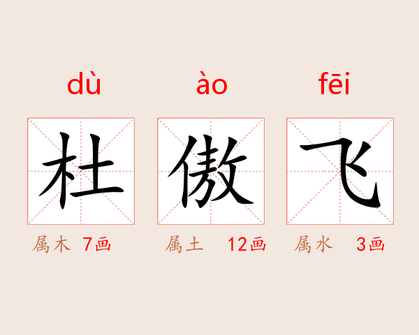 杜傲飞