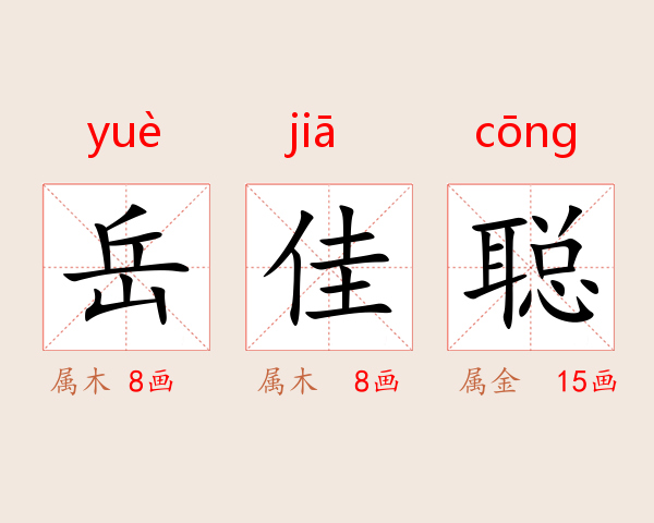 岳佳聪