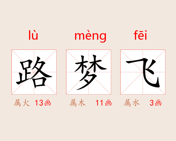 路梦飞