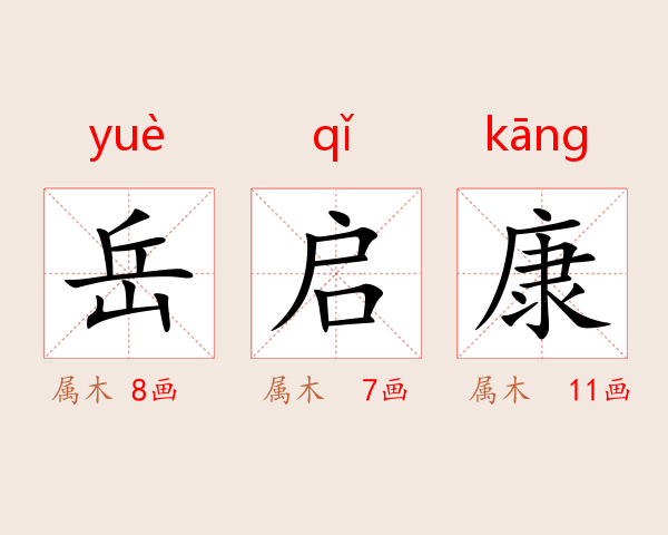 岳启康