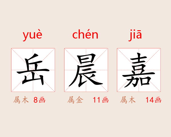 岳晨嘉