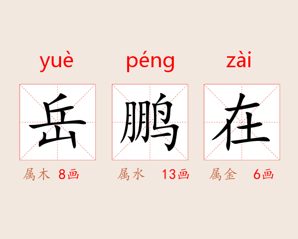 岳鹏在