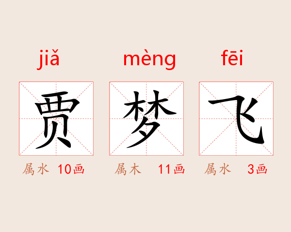 贾梦飞