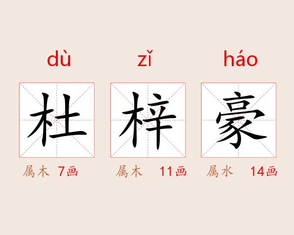 杜梓豪