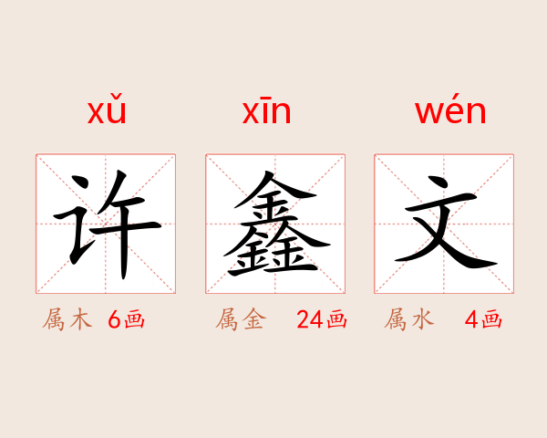 许鑫文