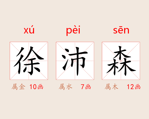 徐沛森