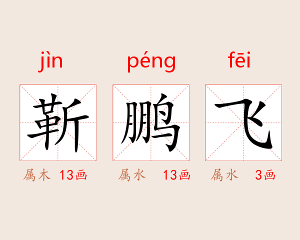 靳鹏飞