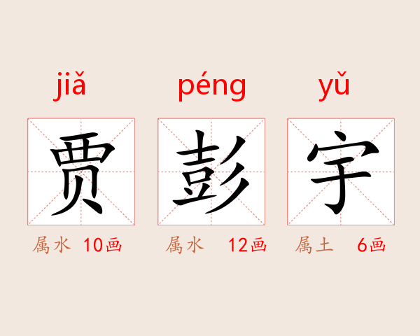 贾彭宇