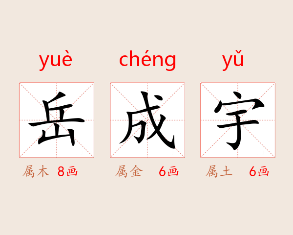 岳成宇