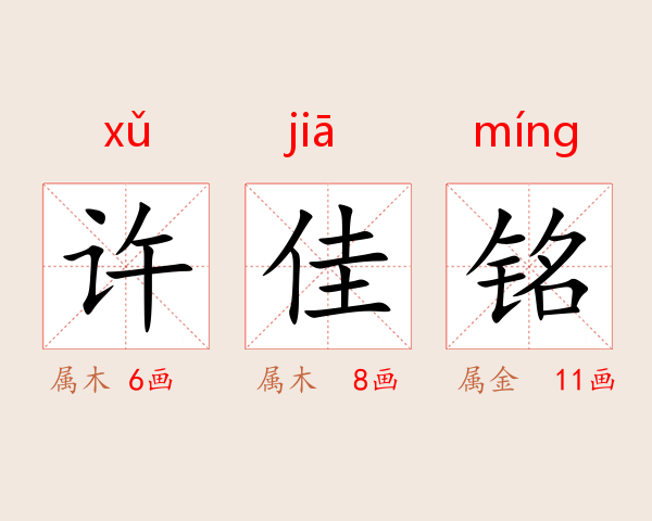 许佳铭