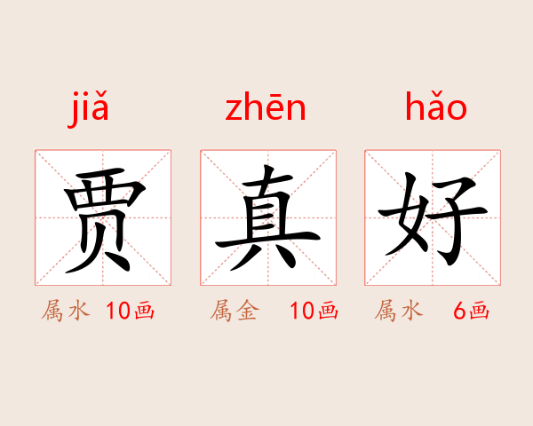 贾真好