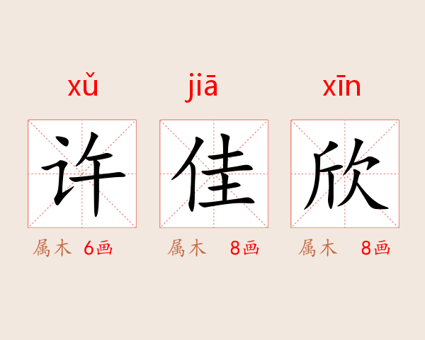 许佳欣