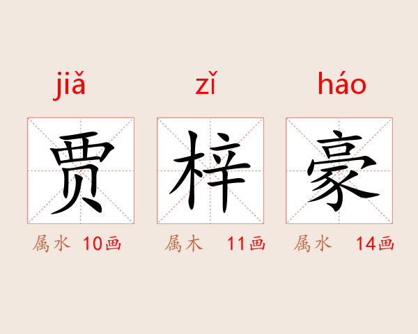 贾梓豪