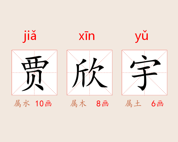 贾欣宇