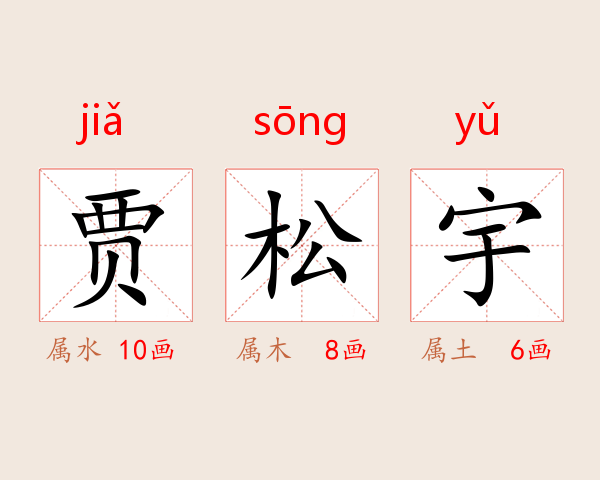 贾松宇