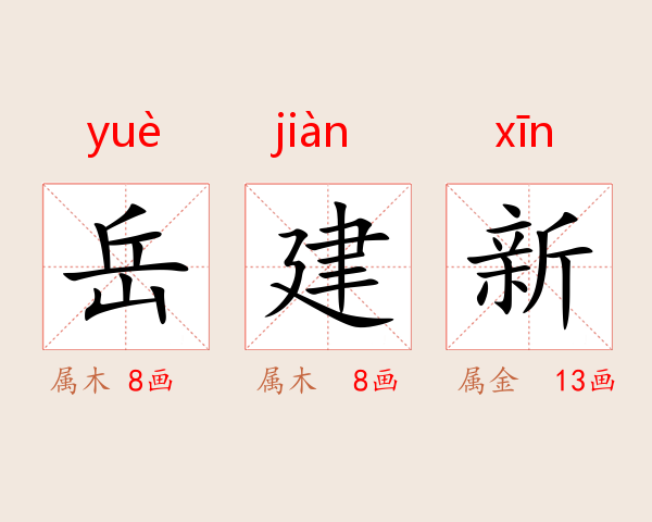岳建新