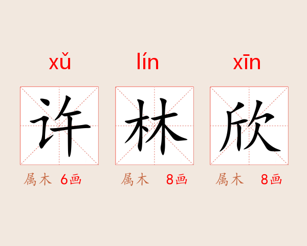 许林欣