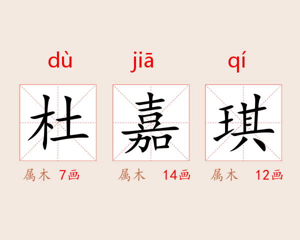 杜嘉琪