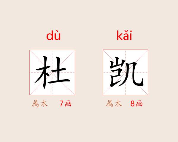 杜凯