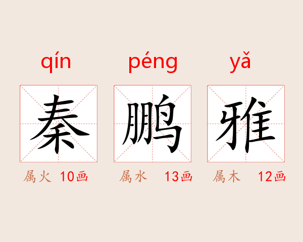 秦鹏雅