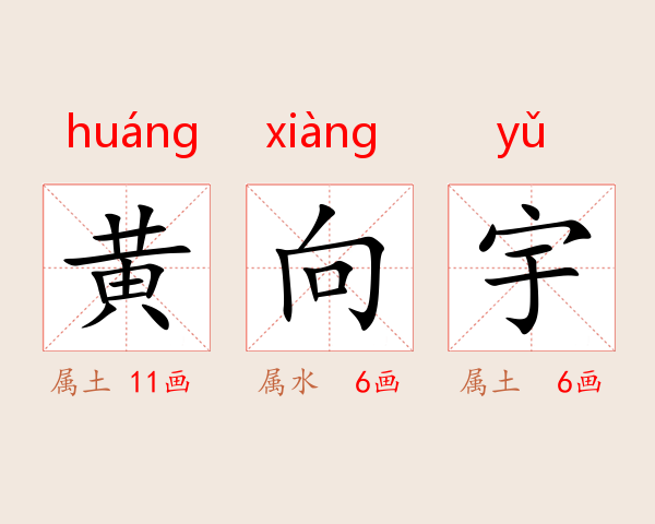黄向宇