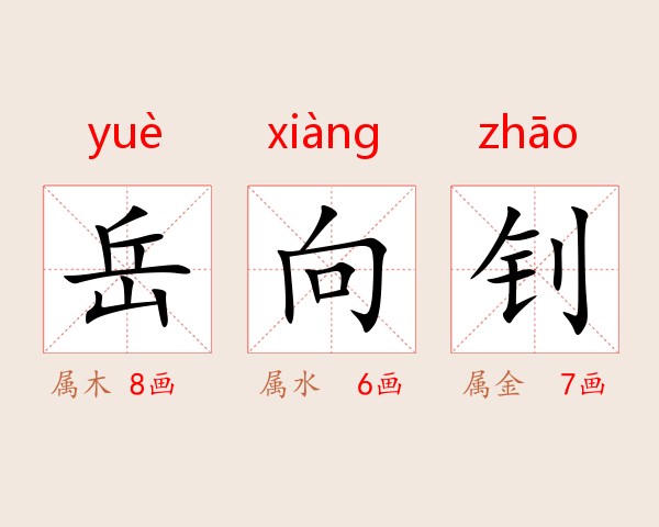 岳向钊