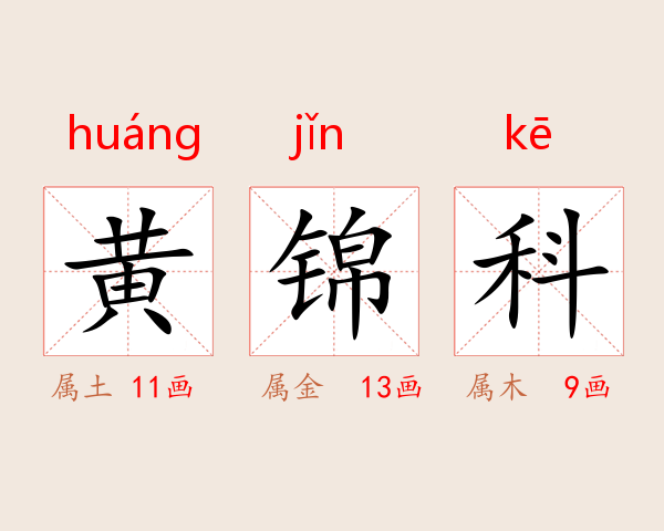 黄锦科