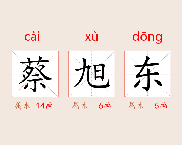 蔡旭东