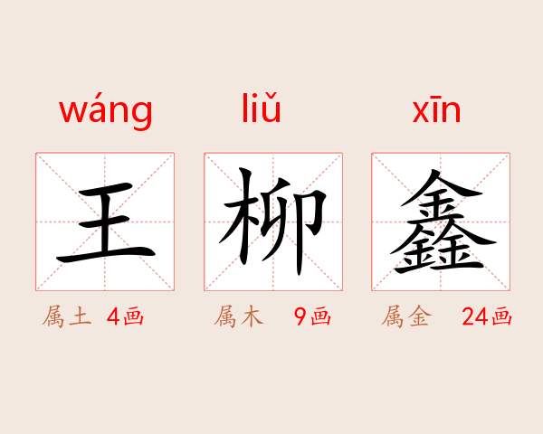 王柳鑫