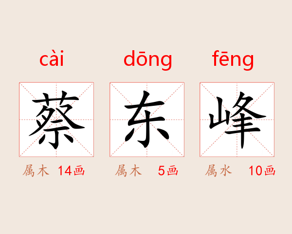 蔡东峰
