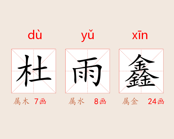 杜雨鑫