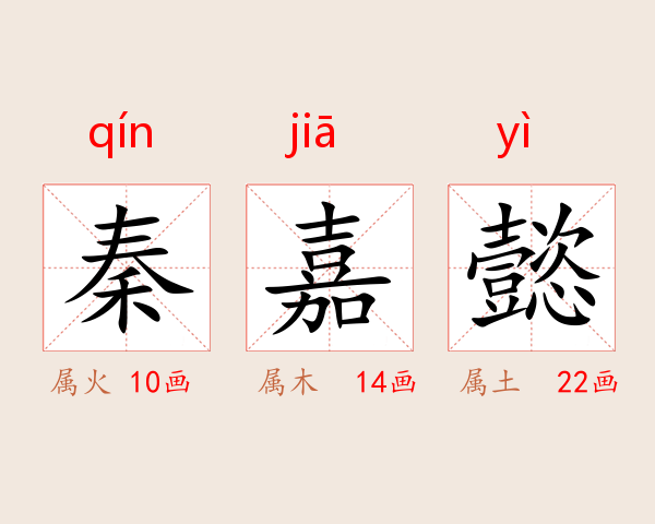 秦嘉懿
