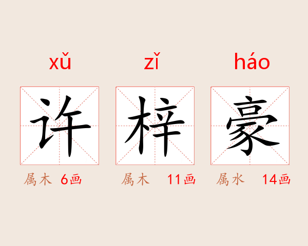 许梓豪